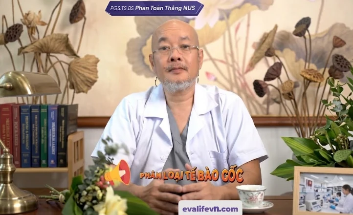 Phân loại tế bào gốc
