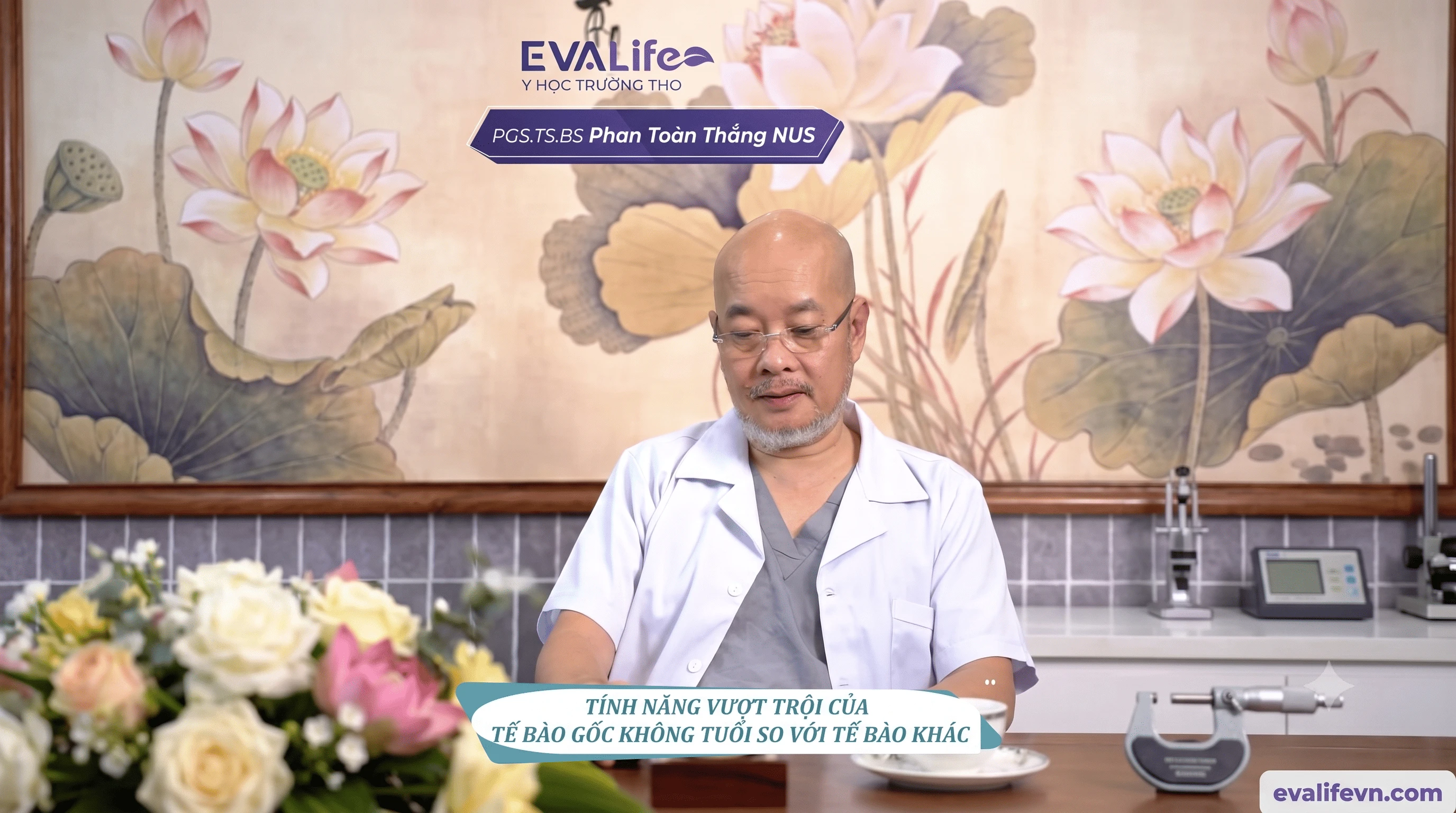 Tính vượt trội của Tế bào gốc không tuổi là gì?